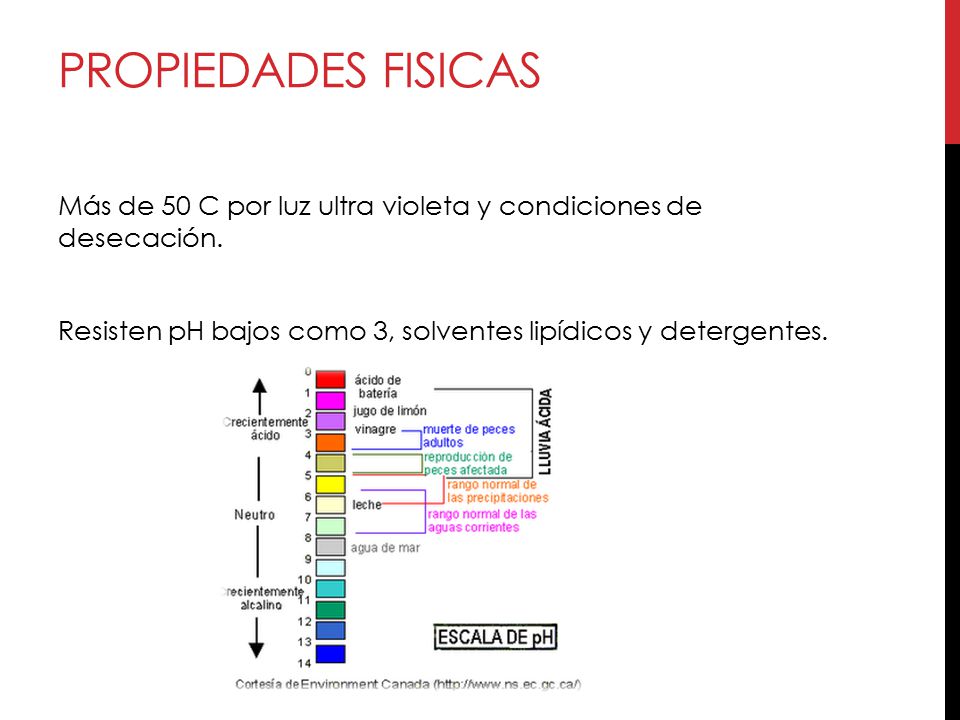 Propiedades Fisicas Más de 50 C por luz ultra violeta y condiciones de desecación.