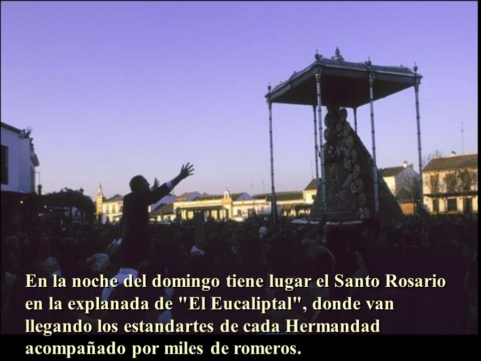 En la noche del domingo tiene lugar el Santo Rosario en la explanada de El Eucaliptal , donde van llegando los estandartes de cada Hermandad acompañado por miles de romeros.