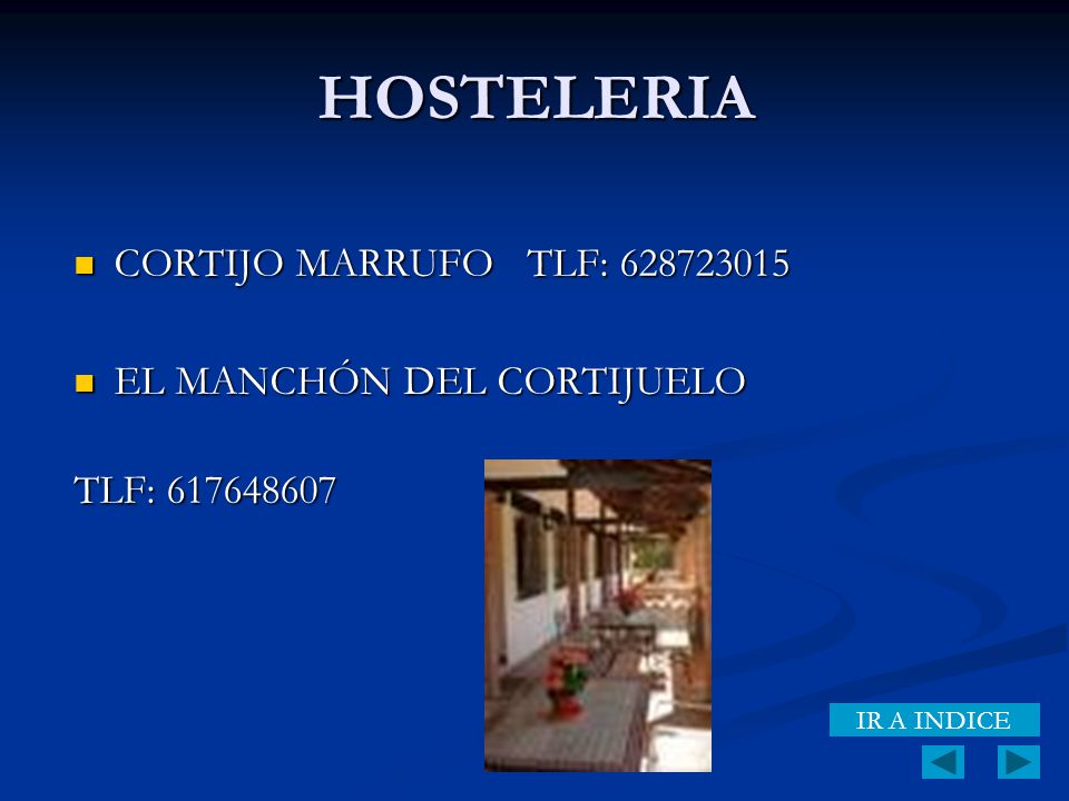 HOSTELERIA CORTIJO MARRUFO TLF: EL MANCHÓN DEL CORTIJUELO