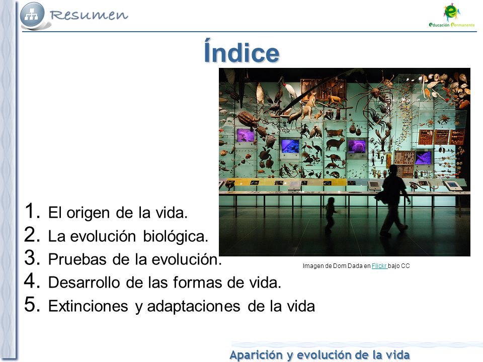 Índice El origen de la vida. La evolución biológica.