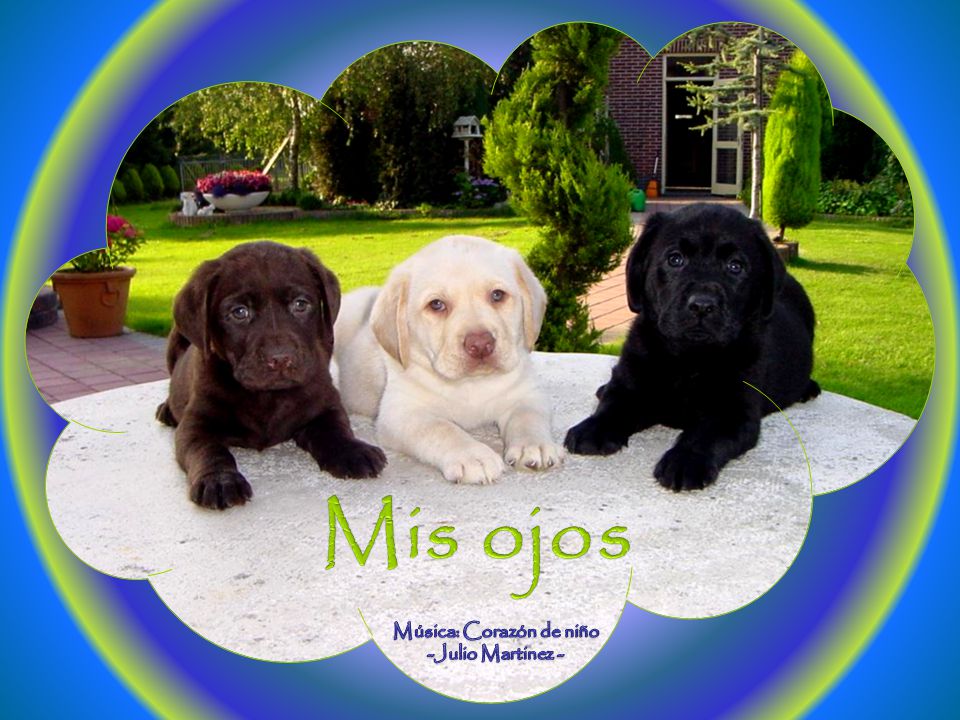 Música: Corazón de niño -Julio Martinez -
