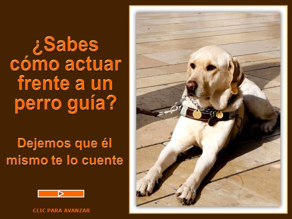 CLIC PARA AVANZAR