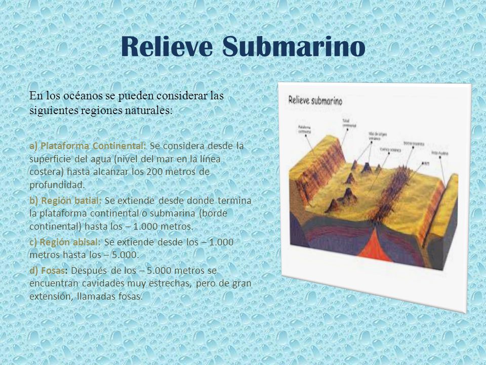 Relieve Submarino En los océanos se pueden considerar las siguientes regiones naturales: