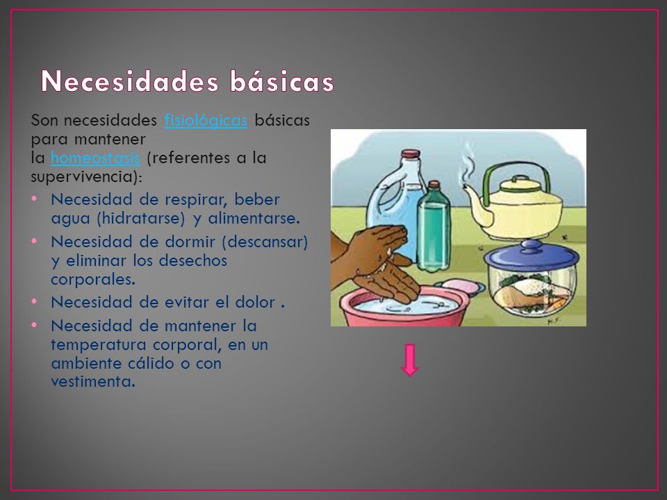 Necesidades básicas Son necesidades fisiológicas básicas para mantener la homeostasis (referentes a la supervivencia):