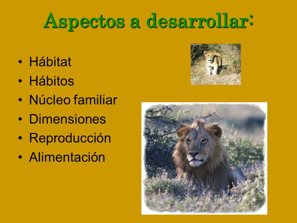 Aspectos a desarrollar: