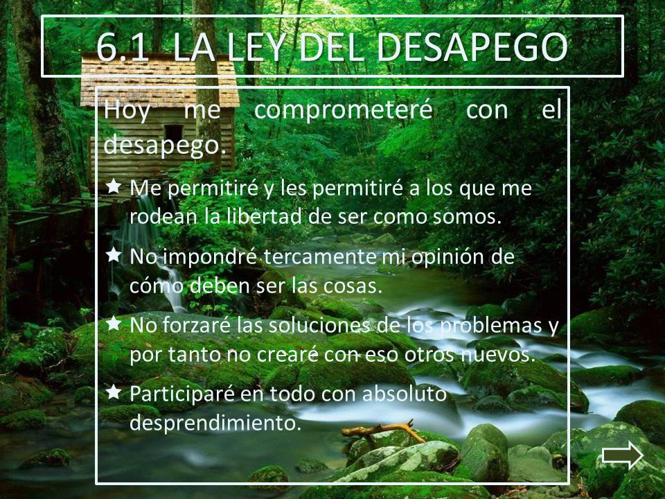6.1 LA LEY DEL DESAPEGO Hoy me comprometeré con el desapego.