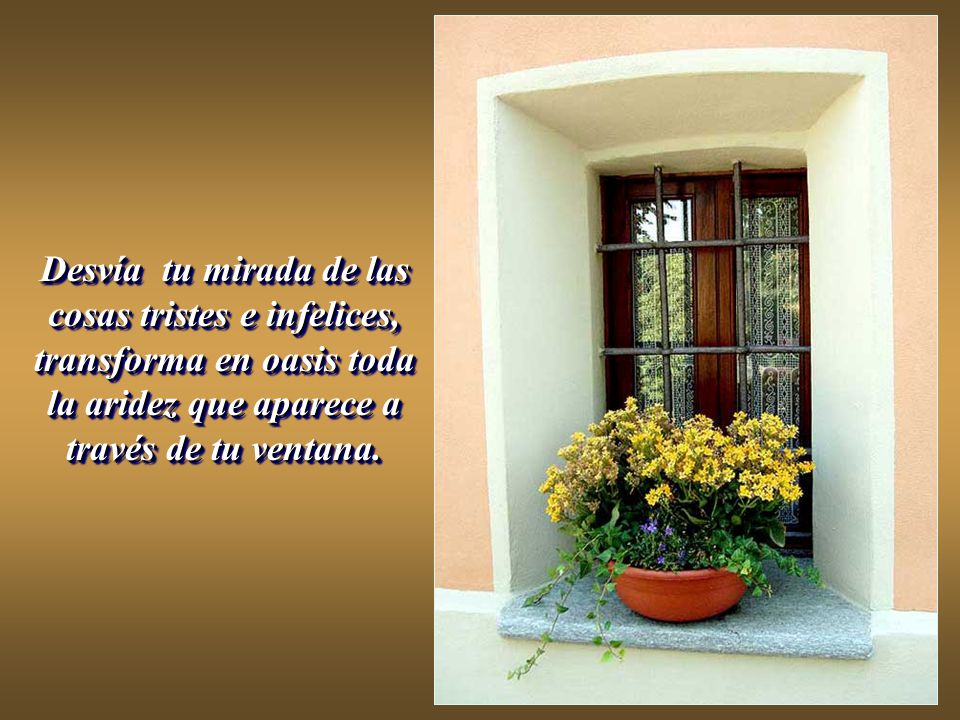 Desvía tu mirada de las cosas tristes e infelices, transforma en oasis toda la aridez que aparece a través de tu ventana.