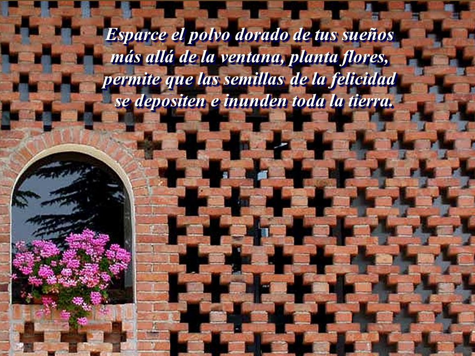 Esparce el polvo dorado de tus sueños más allá de la ventana, planta flores, permite que las semillas de la felicidad se depositen e inunden toda la tierra.