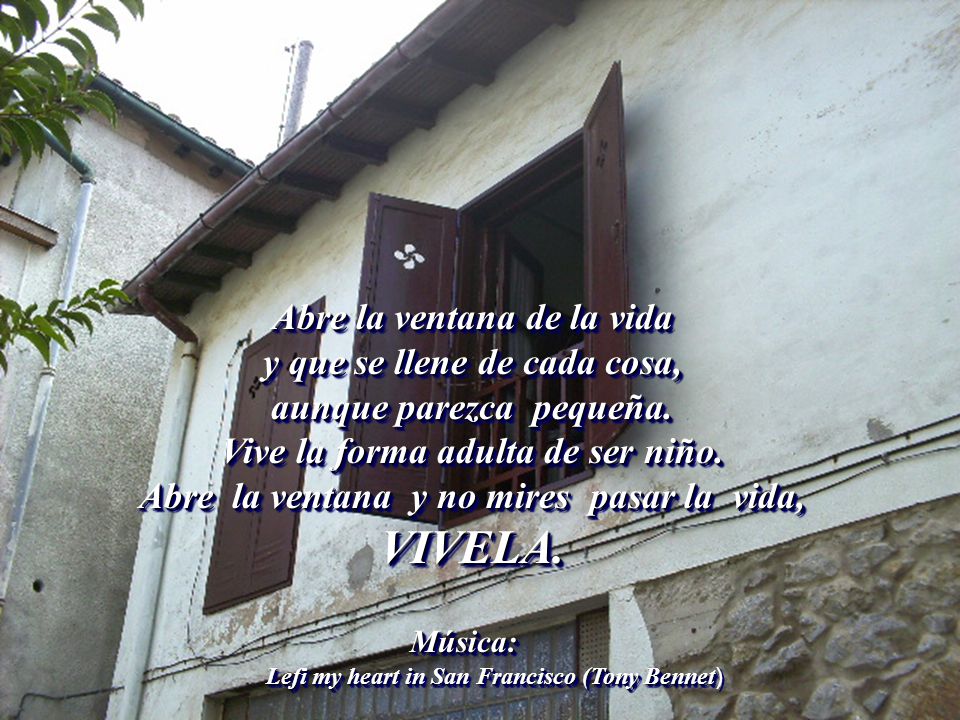 Abre la ventana de la vida y que se llene de cada cosa, aunque parezca pequeña. Vive la forma adulta de ser niño. Abre la ventana y no mires pasar la vida, VIVELA.