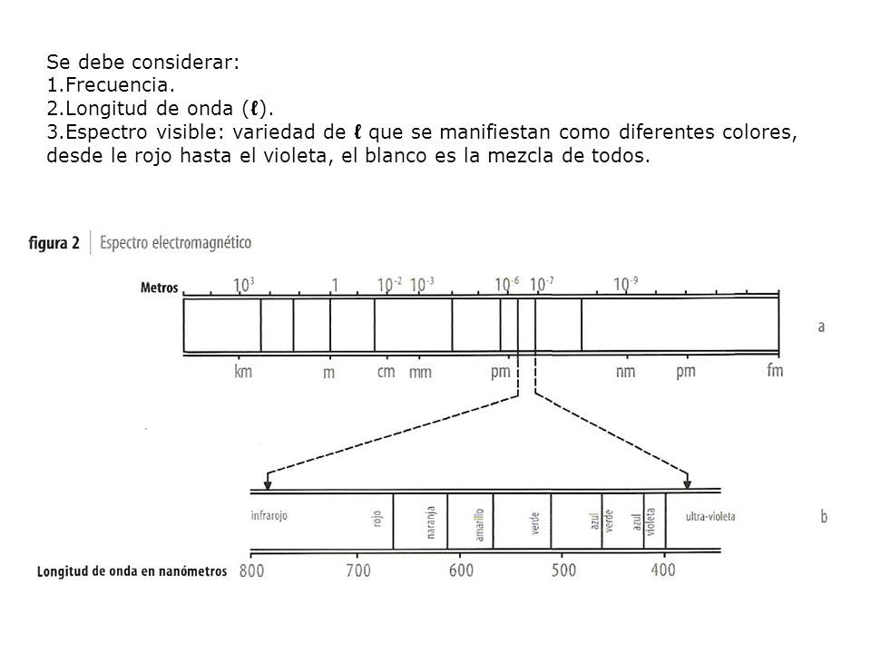 Se debe considerar: Frecuencia. Longitud de onda (ℓ).
