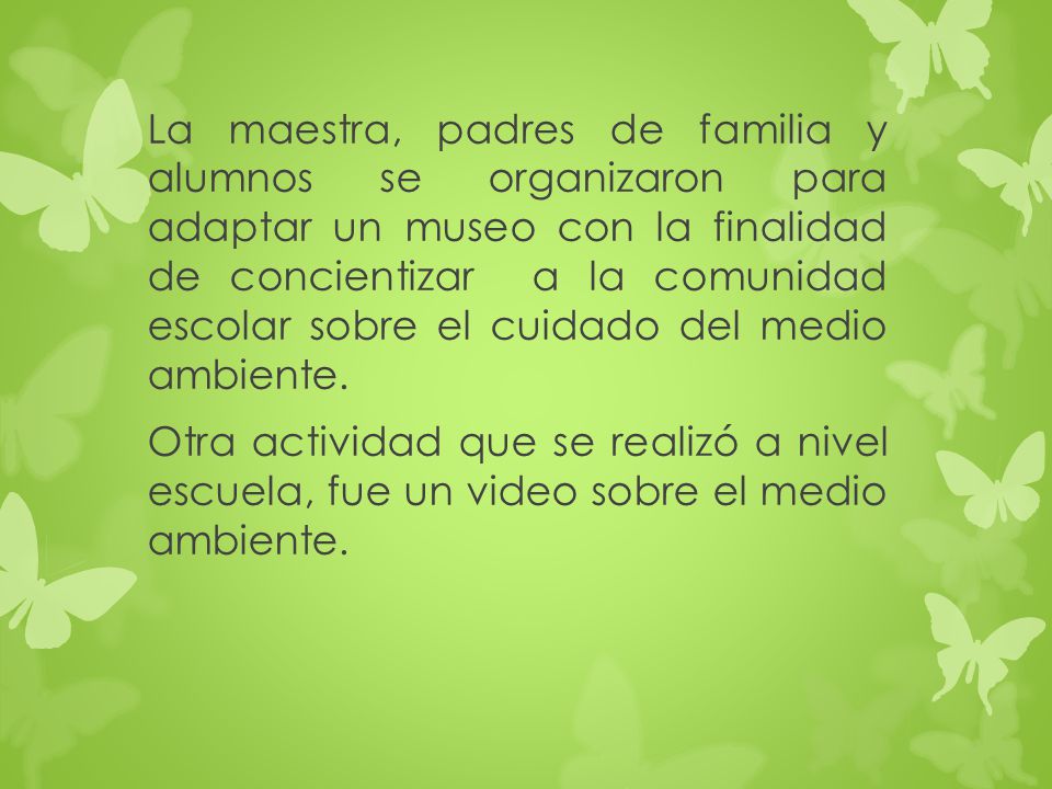 La maestra, padres de familia y alumnos se organizaron para adaptar un museo con la finalidad de concientizar a la comunidad escolar sobre el cuidado del medio ambiente.