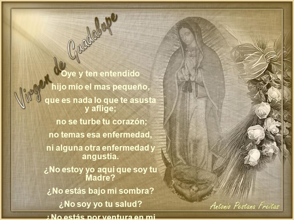que es nada lo que te asusta y aflige; no se turbe tu corazón;