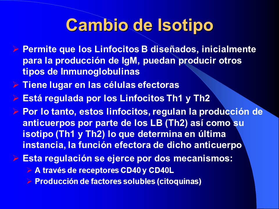 Cambio de Isotipo Permite que los Linfocitos B diseñados, inicialmente para la producción de IgM, puedan producir otros tipos de Inmunoglobulinas.