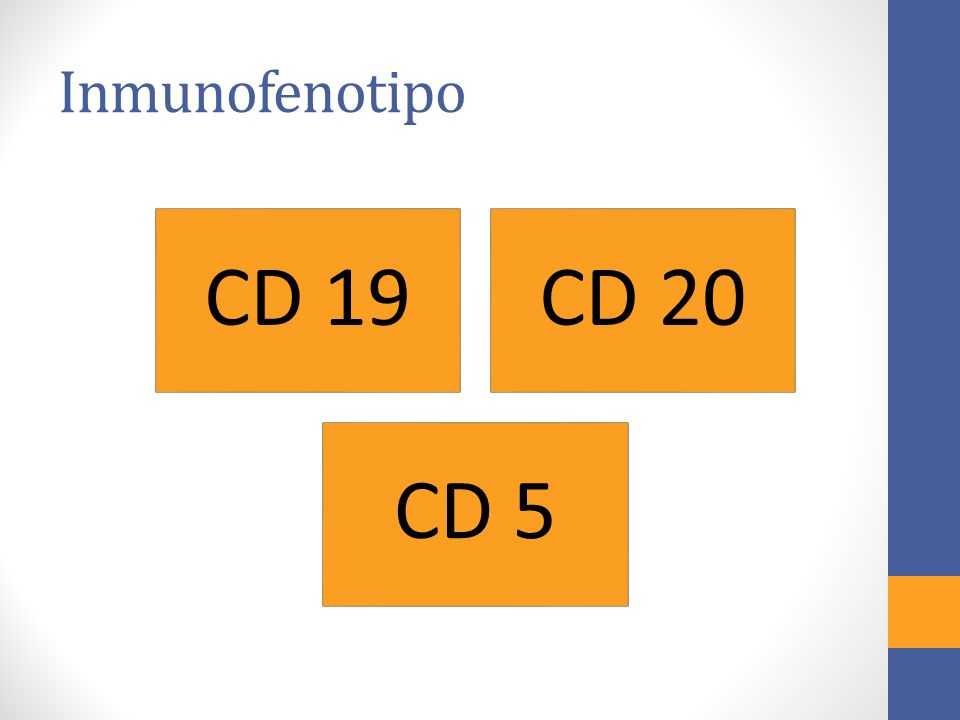 Inmunofenotipo CD 19 CD 20 CD 5