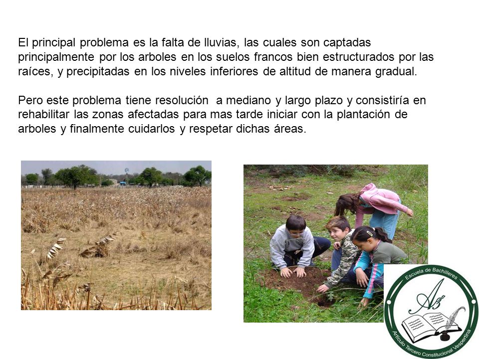 El principal problema es la falta de lluvias, las cuales son captadas principalmente por los arboles en los suelos francos bien estructurados por las raíces, y precipitadas en los niveles inferiores de altitud de manera gradual.