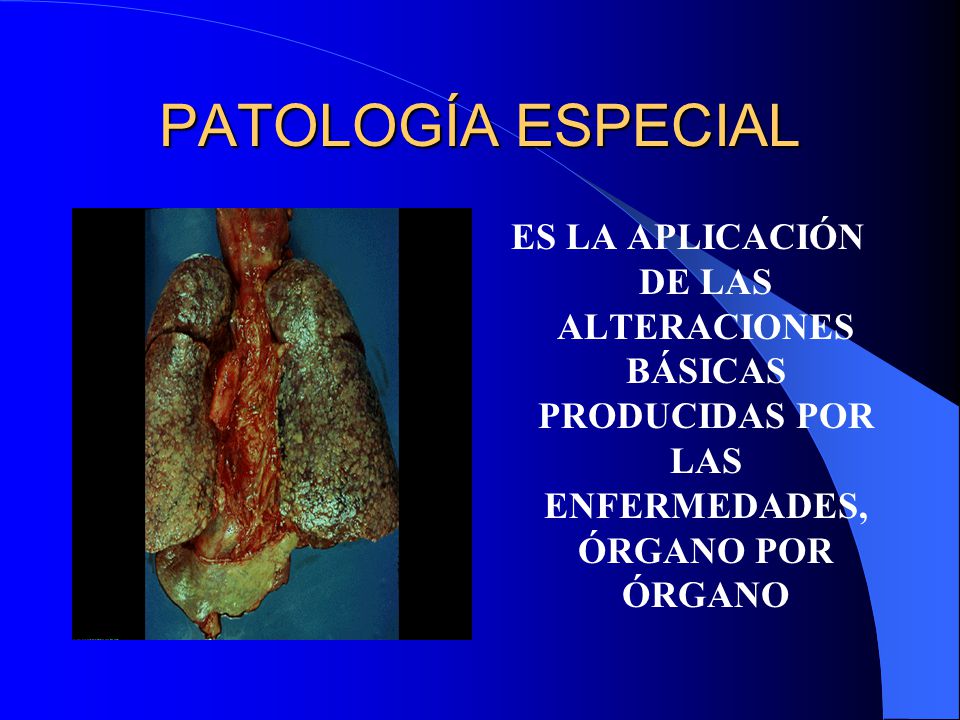 PATOLOGÍA ESPECIAL ES LA APLICACIÓN DE LAS ALTERACIONES BÁSICAS PRODUCIDAS POR LAS ENFERMEDADES, ÓRGANO POR ÓRGANO.