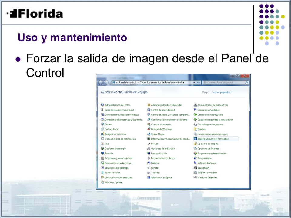 Forzar la salida de imagen desde el Panel de Control