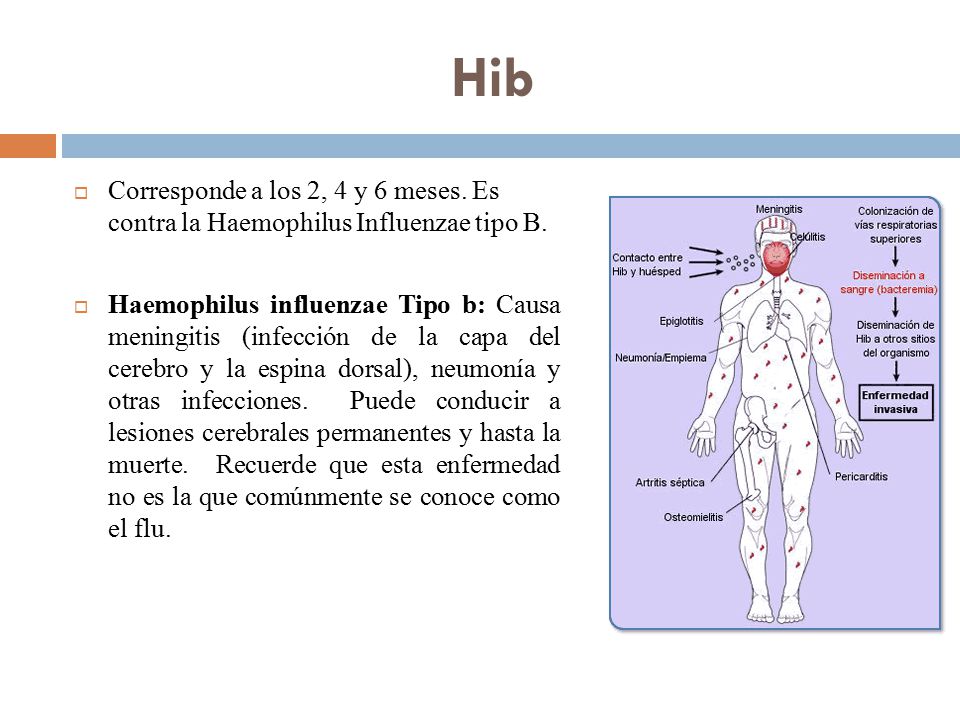 Hib Corresponde a los 2, 4 y 6 meses. Es contra la Haemophilus Influenzae tipo B.