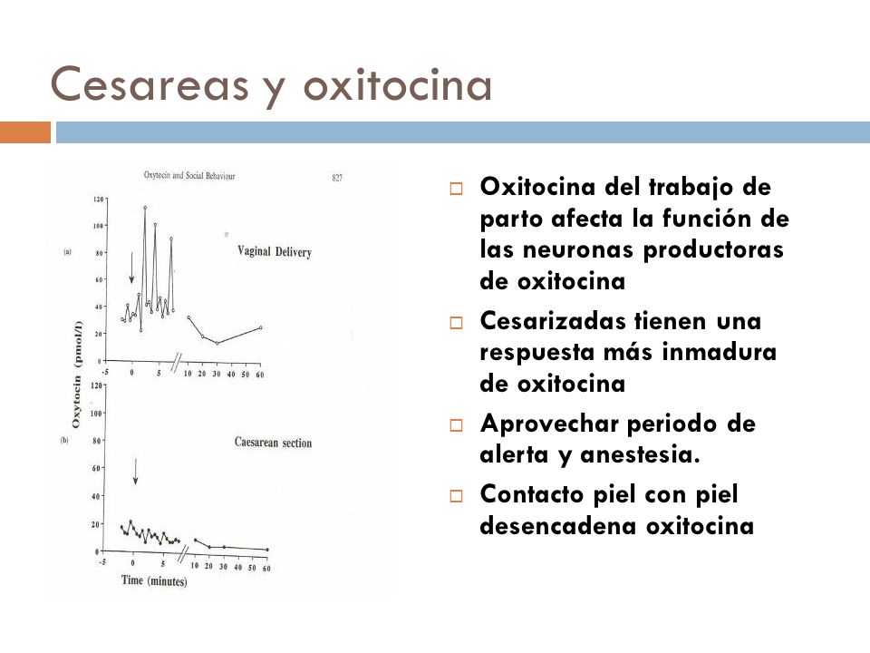 Cesareas y oxitocina Oxitocina del trabajo de parto afecta la función de las neuronas productoras de oxitocina.
