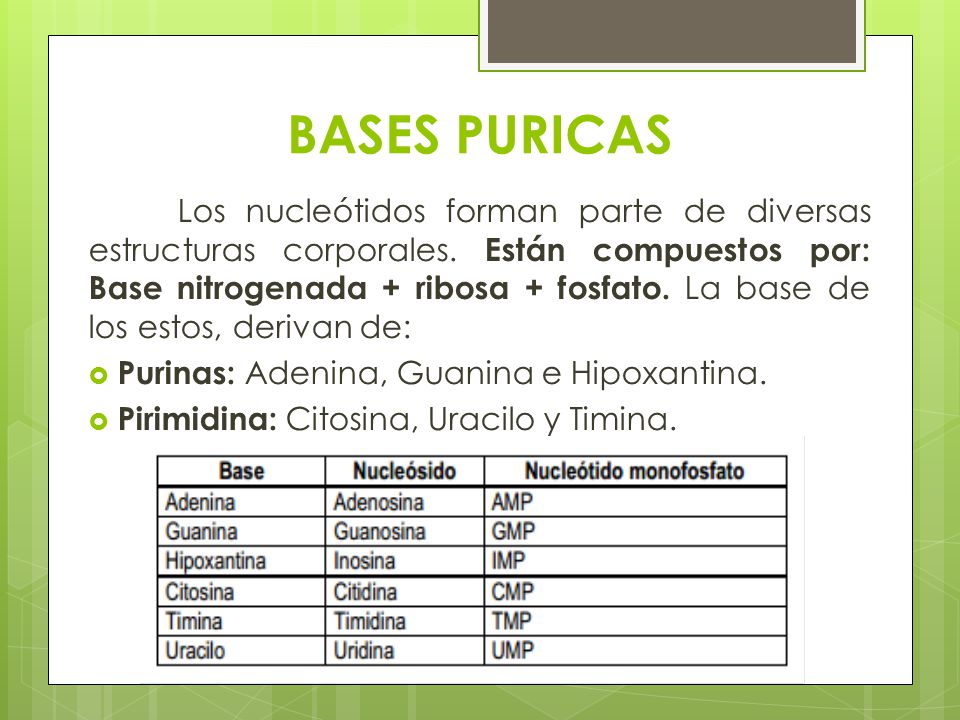 BASES PURICAS