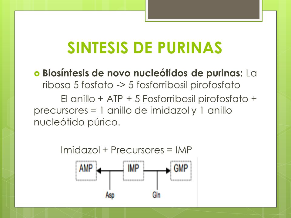 SINTESIS DE PURINAS Biosíntesis de novo nucleótidos de purinas: La ribosa 5 fosfato -> 5 fosforribosil pirofosfato.