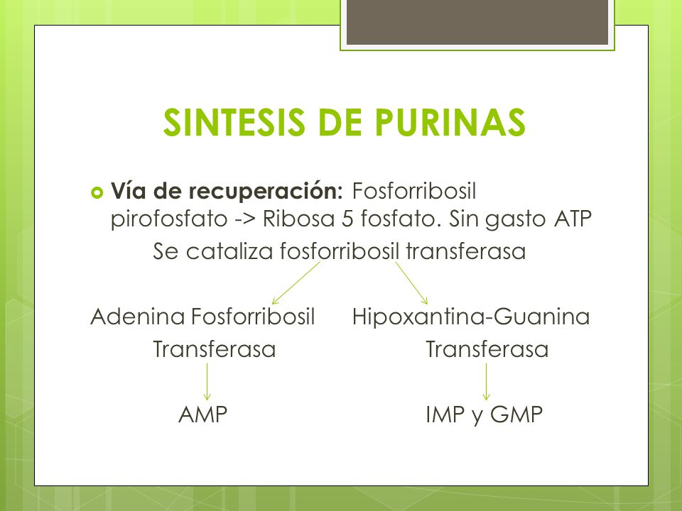 SINTESIS DE PURINAS Vía de recuperación: Fosforribosil pirofosfato -> Ribosa 5 fosfato. Sin gasto ATP.