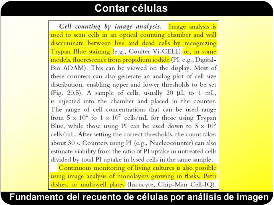 Fundamento del recuento de células por análisis de imagen