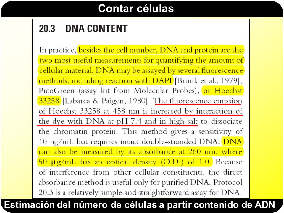 Estimación del número de células a partir contenido de ADN