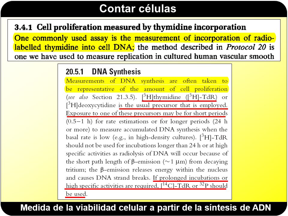 Medida de la viabilidad celular a partir de la síntesis de ADN