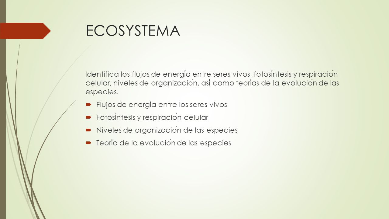 ECOSYSTEMA