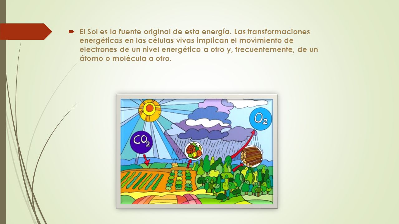 El Sol es la fuente original de esta energía