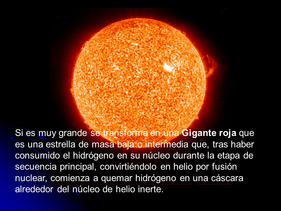 Si es muy grande se transforma en una Gigante roja que es una estrella de masa baja o intermedia que, tras haber consumido el hidrógeno en su núcleo durante la etapa de secuencia principal, convirtiéndolo en helio por fusión nuclear, comienza a quemar hidrógeno en una cáscara alrededor del núcleo de helio inerte.