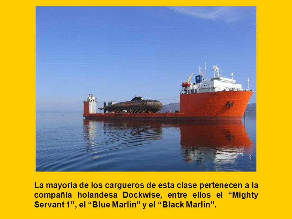 La mayoría de los cargueros de esta clase pertenecen a la compañía holandesa Dockwise, entre ellos el Mighty Servant 1 , el Blue Marlin y el Black Marlin .
