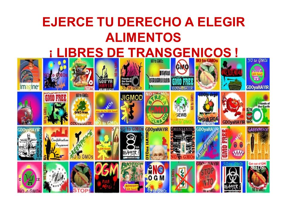 EJERCE TU DERECHO A ELEGIR ALIMENTOS ¡ LIBRES DE TRANSGENICOS !