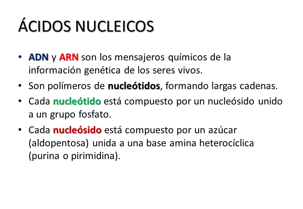 ÁCIDOS NUCLEICOS ADN y ARN son los mensajeros químicos de la información genética de los seres vivos.