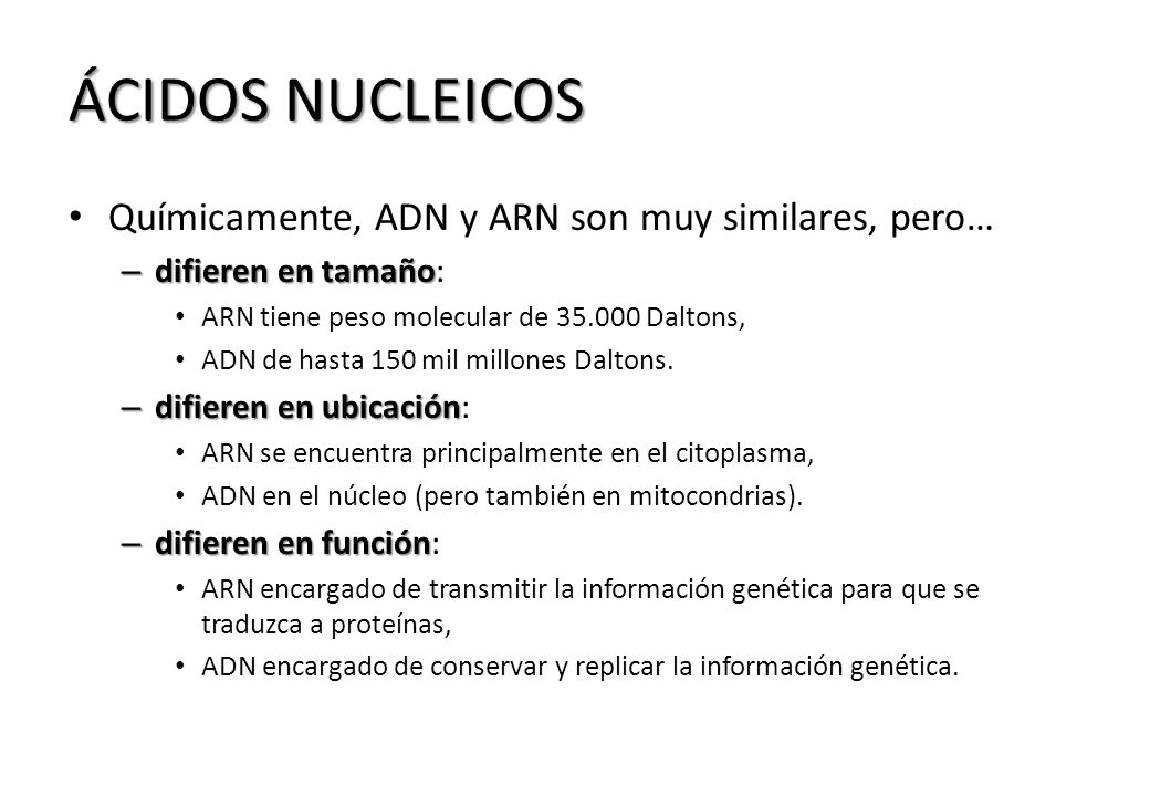 ÁCIDOS NUCLEICOS Químicamente, ADN y ARN son muy similares, pero…