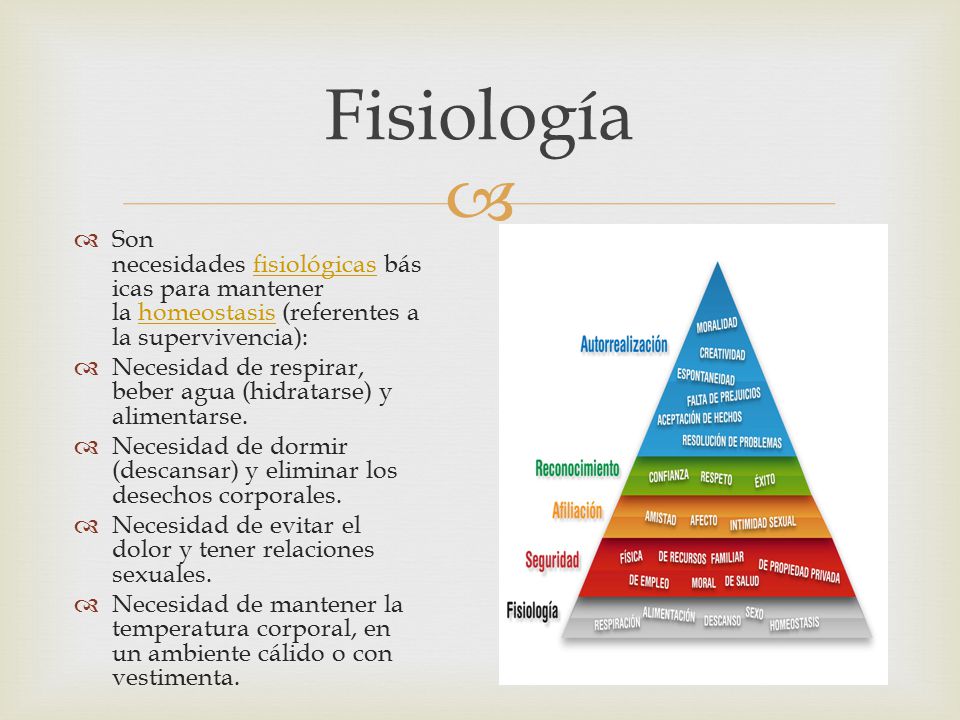 Fisiología Son necesidades fisiológicas básicas para mantener la homeostasis (referentes a la supervivencia):