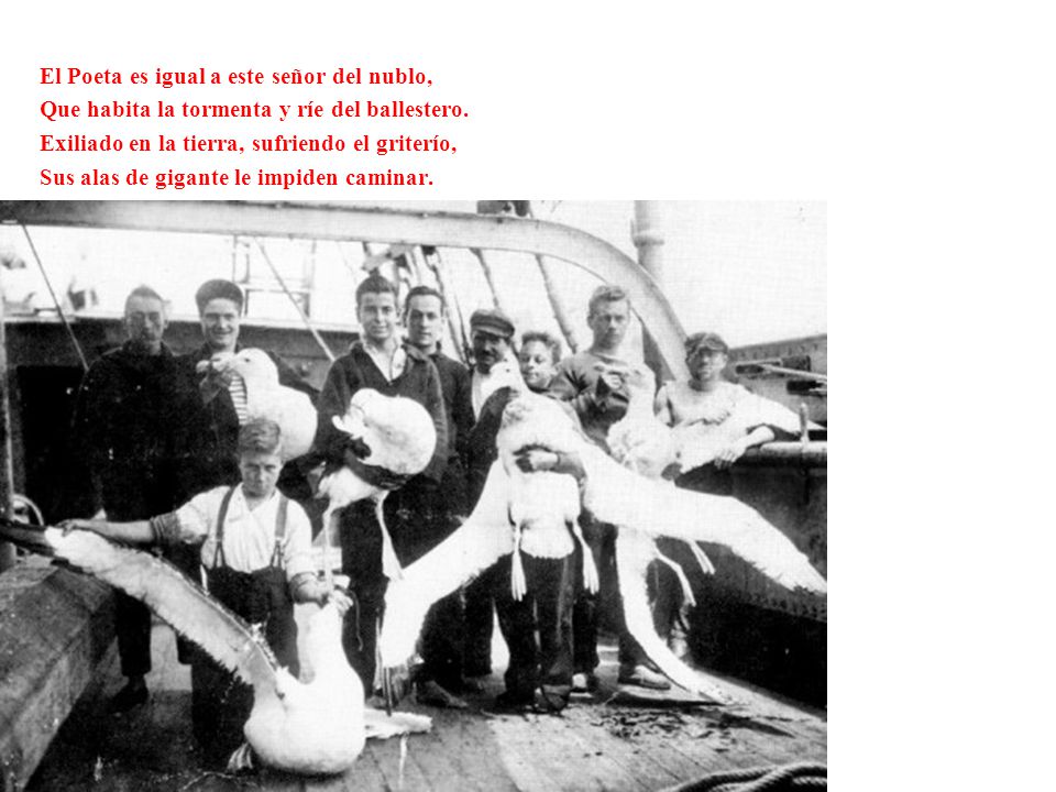 El Poeta es igual a este señor del nublo,