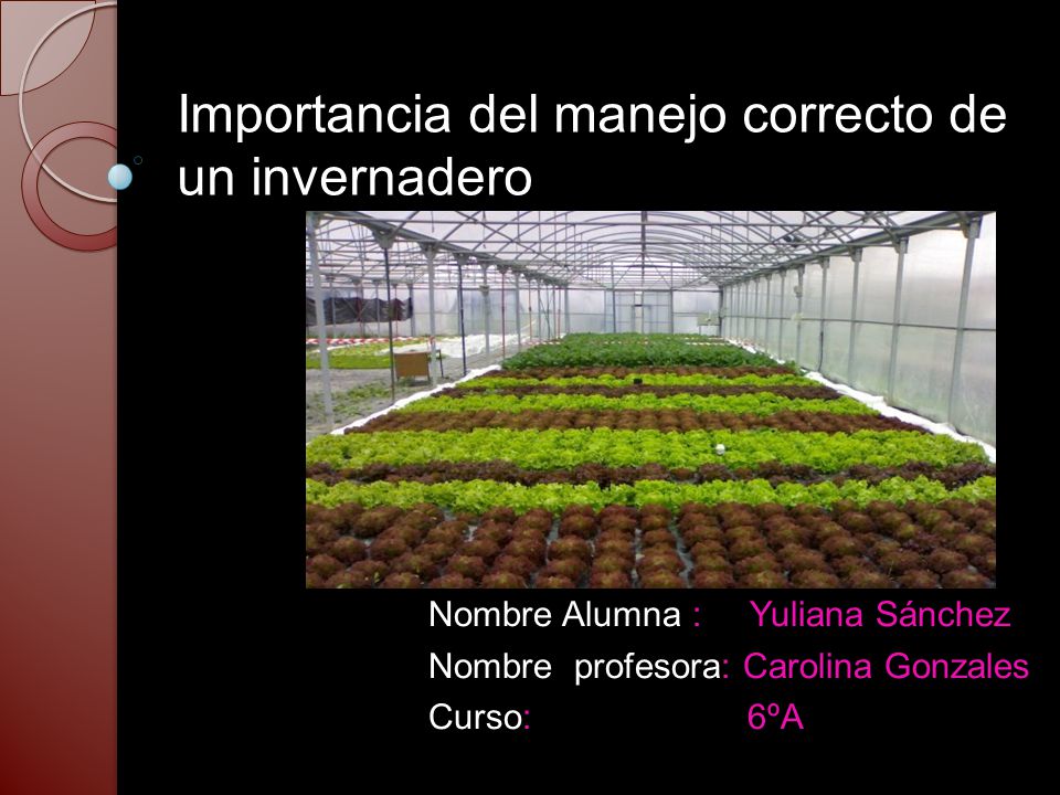 Importancia del manejo correcto de un invernadero