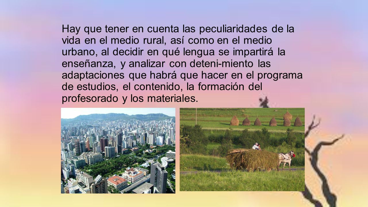 Hay que tener en cuenta las peculiaridades de la vida en el medio rural, así como en el medio urbano, al decidir en qué lengua se impartirá la enseñanza, y analizar con deteni-miento las adaptaciones que habrá que hacer en el programa de estudios, el contenido, la formación del profesorado y los materiales.