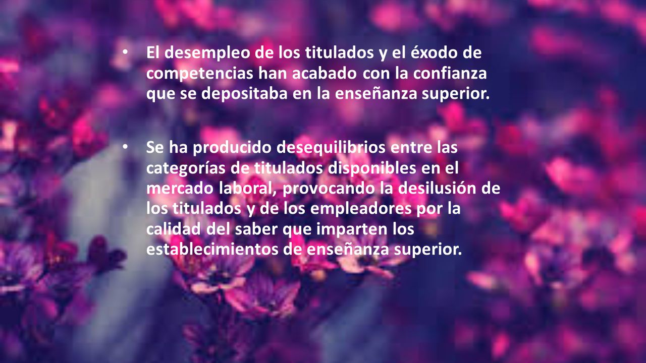 El desempleo de los titulados y el éxodo de competencias han acabado con la confianza que se depositaba en la enseñanza superior.