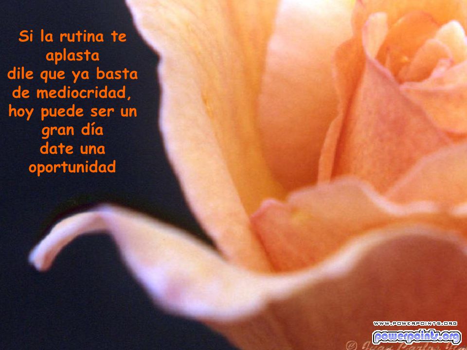 Si la rutina te aplasta dile que ya basta de mediocridad, hoy puede ser un gran día date una oportunidad