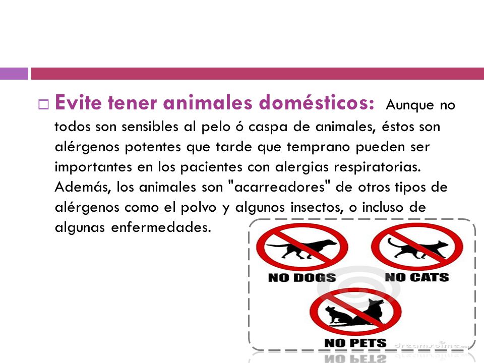 Evite tener animales domésticos: Aunque no todos son sensibles al pelo ó caspa de animales, éstos son alérgenos potentes que tarde que temprano pueden ser importantes en los pacientes con alergias respiratorias.