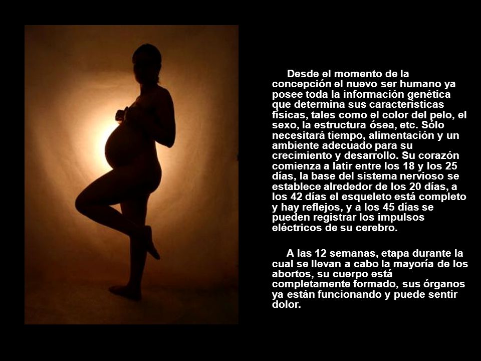 Desde el momento de la concepción el nuevo ser humano ya posee toda la información genética que determina sus características físicas, tales como el color del pelo, el sexo, la estructura ósea, etc. Sólo necesitará tiempo, alimentación y un ambiente adecuado para su crecimiento y desarrollo. Su corazón comienza a latir entre los 18 y los 25 días, la base del sistema nervioso se establece alrededor de los 20 días, a los 42 días el esqueleto está completo y hay reflejos, y a los 45 días se pueden registrar los impulsos eléctricos de su cerebro.