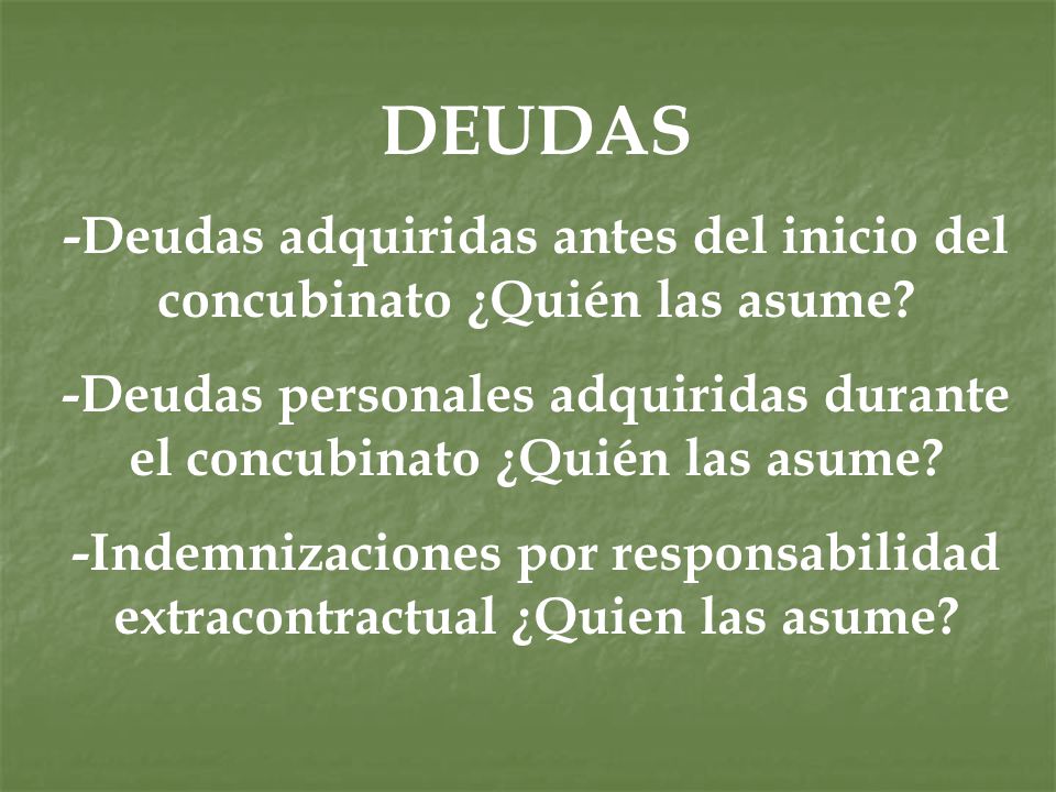 DEUDAS -Deudas adquiridas antes del inicio del concubinato ¿Quién las asume -Deudas personales adquiridas durante el concubinato ¿Quién las asume
