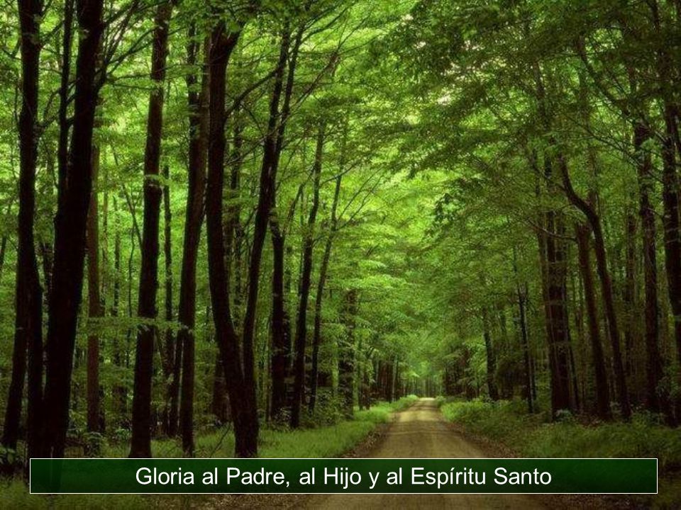 Gloria al Padre, al Hijo y al Espíritu Santo