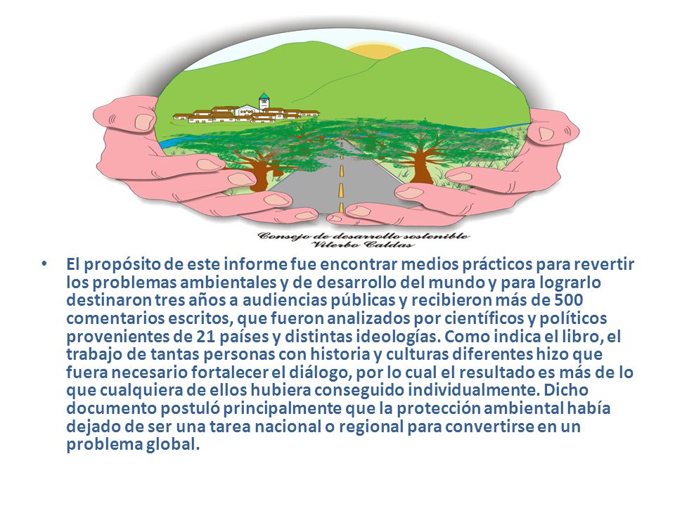 El propósito de este informe fue encontrar medios prácticos para revertir los problemas ambientales y de desarrollo del mundo y para lograrlo destinaron tres años a audiencias públicas y recibieron más de 500 comentarios escritos, que fueron analizados por científicos y políticos provenientes de 21 países y distintas ideologías.