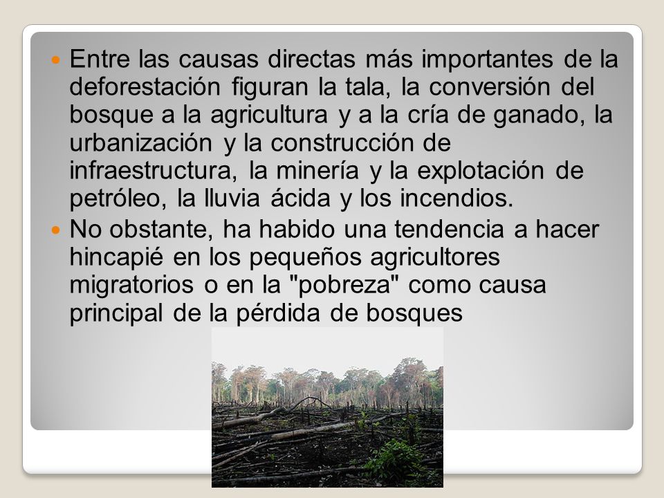 Entre las causas directas más importantes de la deforestación figuran la tala, la conversión del bosque a la agricultura y a la cría de ganado, la urbanización y la construcción de infraestructura, la minería y la explotación de petróleo, la lluvia ácida y los incendios.