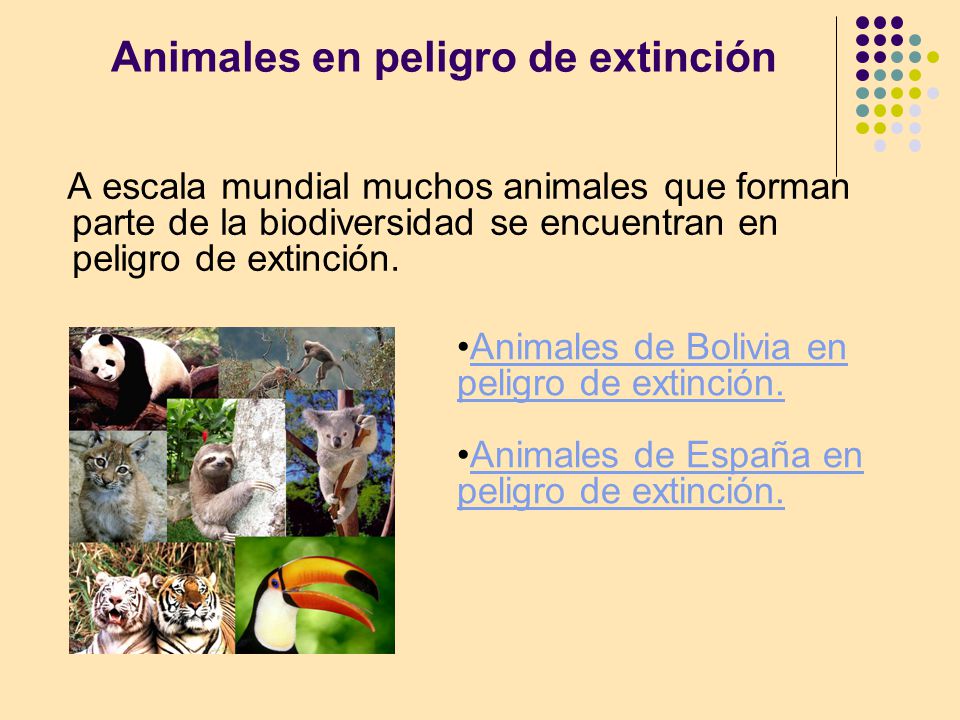 Animales en peligro de extinción