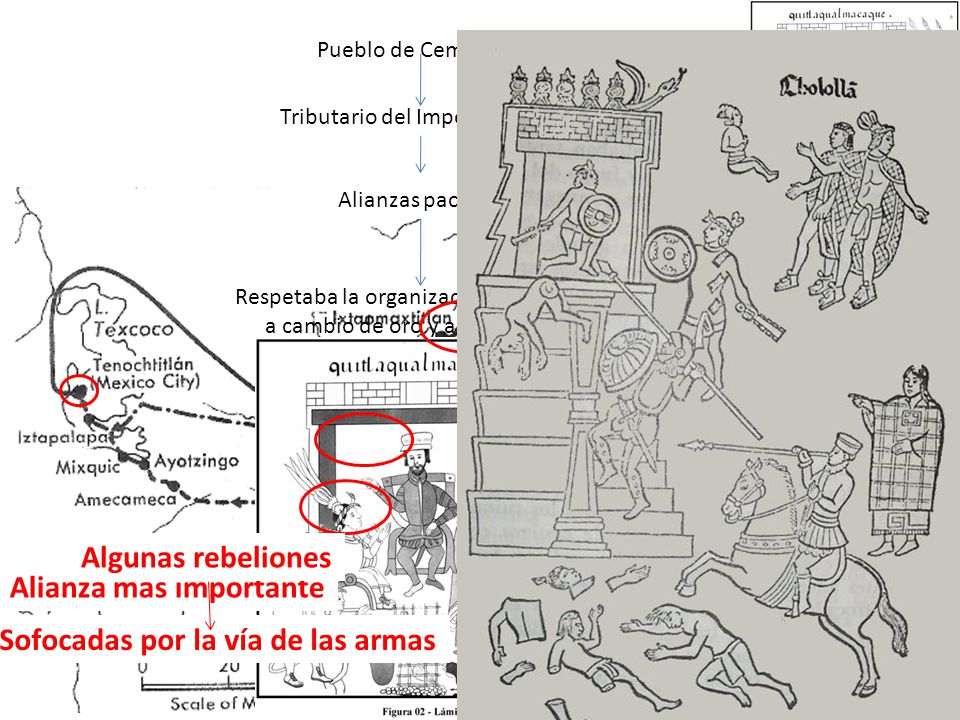 Respetaba la organización del Señorío a cambio de oro y apoyo militar